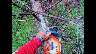 🌲 🌳 ForsttechnikWaldarbeit 🌲 🌳 Husqvarna 572 XP 1 Einsatz 💪 [upl. by Haidabez]