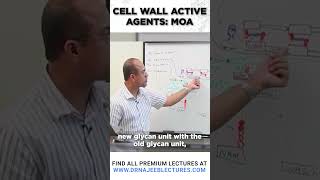 Cell wall Active Agents MOA drnajeeb drnajeeblectures shortvideostatus [upl. by Aleras]