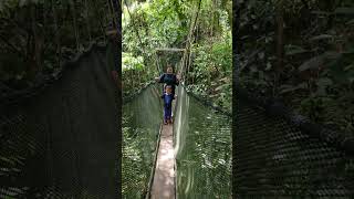 highest Canopy walk [upl. by Adeirf]