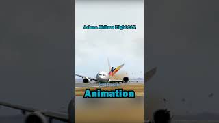 Plane Crash Animation VS Real Life aviation avgeeks boeing airbus crash [upl. by Nassah]