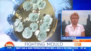 Today Show Australia  Black Toxic Mould [upl. by Kassia]