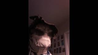 creepy scarecrow sings The Banana Splits Tralala song [upl. by Mahgem]