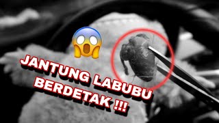 BEDAH LABUBU JANTUNG NYA MASIH BERDETAK 😭   LABUBU D4RKWEB [upl. by Uni]