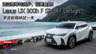 【超越車訊】【First Drive】 跑更快、更省油，還凍漲！有這麼好的事？Lexus UX 300h F SPORT Design ＃來去粉鳥林試一天 [upl. by Nylkaj729]