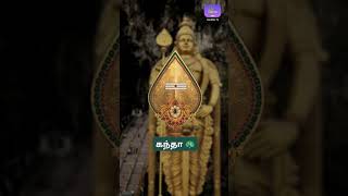 Trending Theeyaga Thondri Song Murugan WhatsApp Status tamil murugan [upl. by Llecrep]