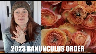 2023 Ranunculus Order  TWICE the Space to Fill Flower Hill Farm [upl. by Wilton]