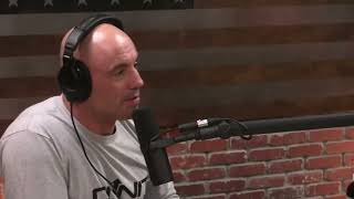 Joe Rogan on DMT [upl. by Shiri526]