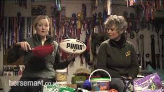 How to feed and condition your horse [upl. by Iam]