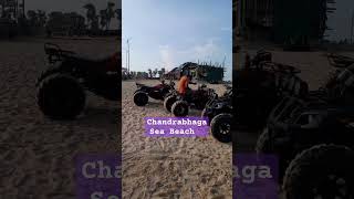 Chandrabhaga Sea Beach  konark  puri  odisha  Cosmos Diary 💫 [upl. by Alikam306]