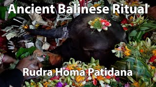 Ancient Balinese Rituals [upl. by Ramilahs912]