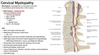 Cervical Myelopathy  Presentation Risk Factors amp SignsSymptoms [upl. by Azitram]