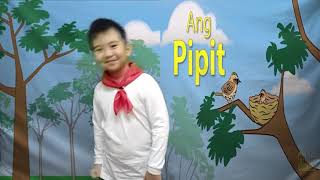 Katutubong Awit  Ang Pipit  BUWAN NG WIKA [upl. by Filia591]