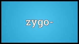 Zygo Meaning [upl. by Hands]