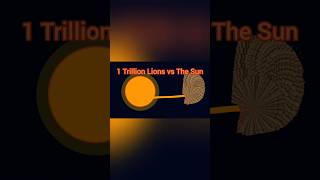 1 Trillion Lions vs The Sun [upl. by Junia796]