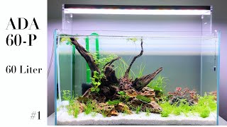 ADA 60P  60x30x36 cm  60 Liter 1 Setup [upl. by Elletnuahc]