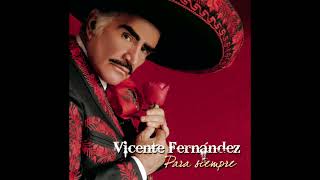 Vicente Fernández  Un Millón De Primaveras Cover Audio [upl. by Retxab399]