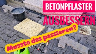 Betonpflaster ausbessern leicht gemacht [upl. by Beard]