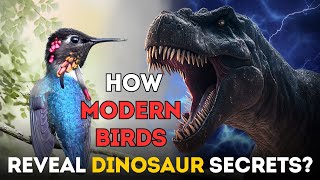 How Modern Birds Reveal Dinosaur Secrets Part 1 [upl. by Niak567]