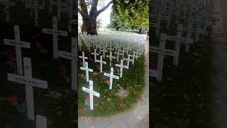 Ready for armistice day in Christchurch New Zealand 2024 armisticeday christchurch nz rip ww1 [upl. by Aniret]