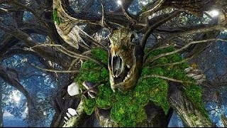 The Witcher 3 Wild Hunt Woodland Spirit Ancient Leshen [upl. by Adnael42]