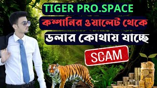 Tiger pro space scam [upl. by Morgana]