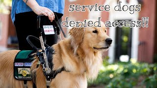 Service dogs that were denied public access compilation [upl. by Lesh]