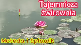 TAJEMNICZA ŻWIROWNIA i DUŻE RYBY  ŁOWIĘ na SPŁAWIK i METODE [upl. by Gaylord]