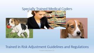 Risk Adjustment and HCC Coding Overview [upl. by Learsiy]