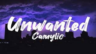 Camylio  Unwanted Lyrics [upl. by Ecnarwal444]