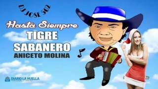 Aniceto Molina Mix 2017 Cumbias De Mi Pueblo [upl. by Mogerly738]