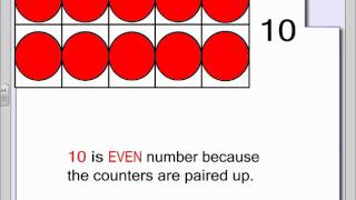 First Grade  Odd and Even Number Lesson [upl. by Anor]