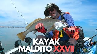 Dicas de Pesca em Kayak para Iniciantes e captura de Corvina no Tejo [upl. by Neu]