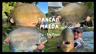 FUI NO PARQUE MAEDA TANCÃO34KG DE TAMBA NO PRIMEIRO DIA DE PESCARIASÓ PEIXE GIGANTE NESSA PESCARIA [upl. by Ardine]