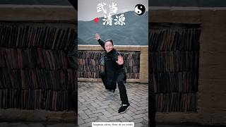 Yip Man Squattaichi exercise practice kungfu taichichuan chineseculture wudang [upl. by Nitaj537]