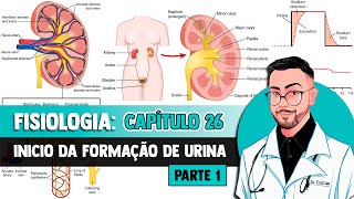 Fisiologia  Sistema Urinário Anatomia Funcional e Formação da Urina pelo Rim Capítulo 26 GUYTON [upl. by Gnohc904]