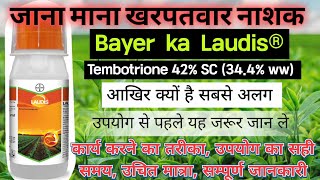 Laudis herbicide bayer Laudis herbicide Laudis खरपतवार नाशक Tembotrione 42 SC 344 ww [upl. by Bender]