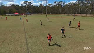 Under 143s Mixed  Quakers Hill Tigers v Minchinbury Jets GRAND FINAL [upl. by Violet]