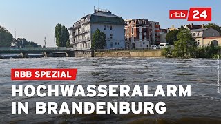 Brandenburg erwartet Hochwasser und steigende Pegel  rbb24 Spezial [upl. by Rubliw]