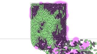 Coupled Oscillations in a Chemostat [upl. by Yorker]