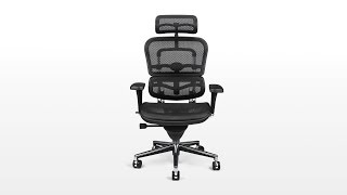 Original Ergohuman V1 Chair Review [upl. by Hendrik]