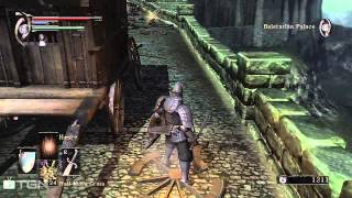 Demons Souls 8 Boletarian Palace Patrolling Red Dragon [upl. by Marys954]