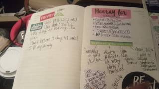 How I use my Moleskine Daily Planner 17 [upl. by Bel230]