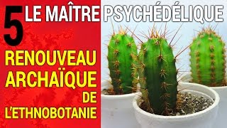 Maître Psychédélique 5  Renouveau archaïque de l’ethnobotanie [upl. by Luaped476]