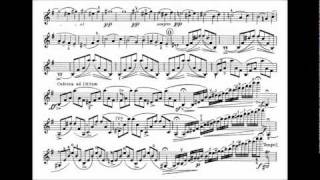 Mendelssohn Felix violin concerto in e mvt1 [upl. by Jobey]