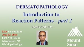 Dermatopathology Introduction to Reaction Patterns  Part 2 w Dr Singh [upl. by Harraf357]