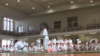 GOSHIN JUTSU KODOKAN 2014 15 CAROLE MATHIEU [upl. by Som]