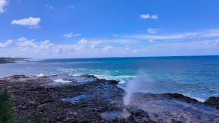 BR Crew Tour  Waimea Canyon • Waimea Town • Spouting Horn 📍Kauai Hawaii [upl. by Bunder]