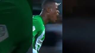 Los dos goles que nos instalan en los cuartos de final de Copa VOLVEREMOS VamosNacional [upl. by Ardna155]