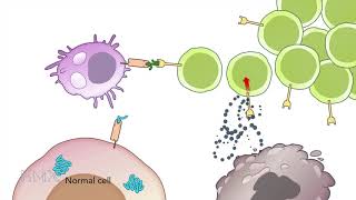 HMX Immunology  Course Preview [upl. by Carmina]