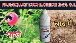 PARAQUAT DICHLORIDE 24 SLGROMOXONE HERBICIDEपैराक्वाटHimalyan chemical amp Pesticideagrostar [upl. by Theran]